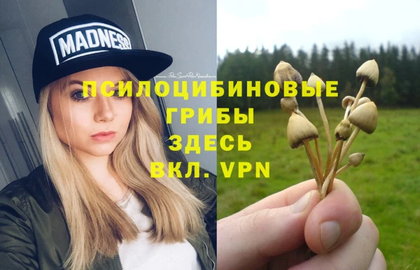 мескалин Балахна