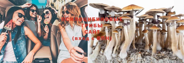 спайс Баксан