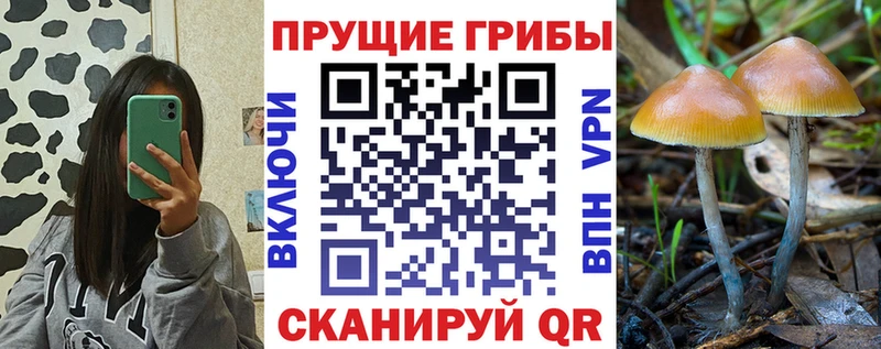 Псилоцибиновые грибы GOLDEN TEACHER  Купить закладки  Сегежа 