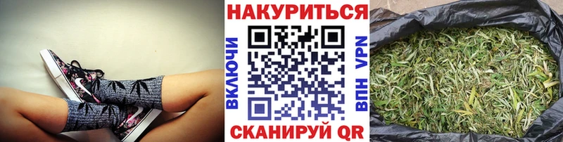 Конопля THC 21%  Купить закладки  Сегежа 